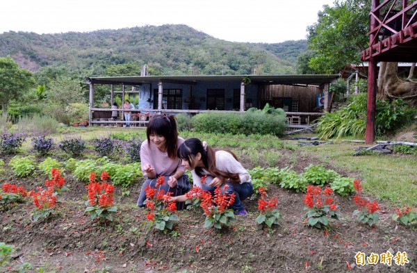 佳德谷原住民植物教育園區有山林幽谷的自然氣息。（記者許麗娟攝）