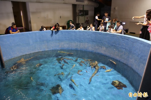 夜宿海生館的後場導覽活動，還可體驗餵魚的樂趣。（記者潘自強攝）