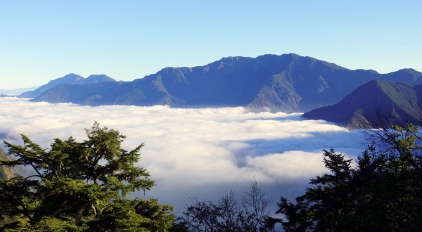 大陸冷氣團一波波來襲，玉山雲海美不勝收。（記者謝介裕翻攝）