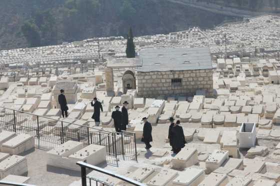 埃及王后娜芙蒂蒂/耶路撒冷墓建地下墓城/《地下社會》用一段瘋