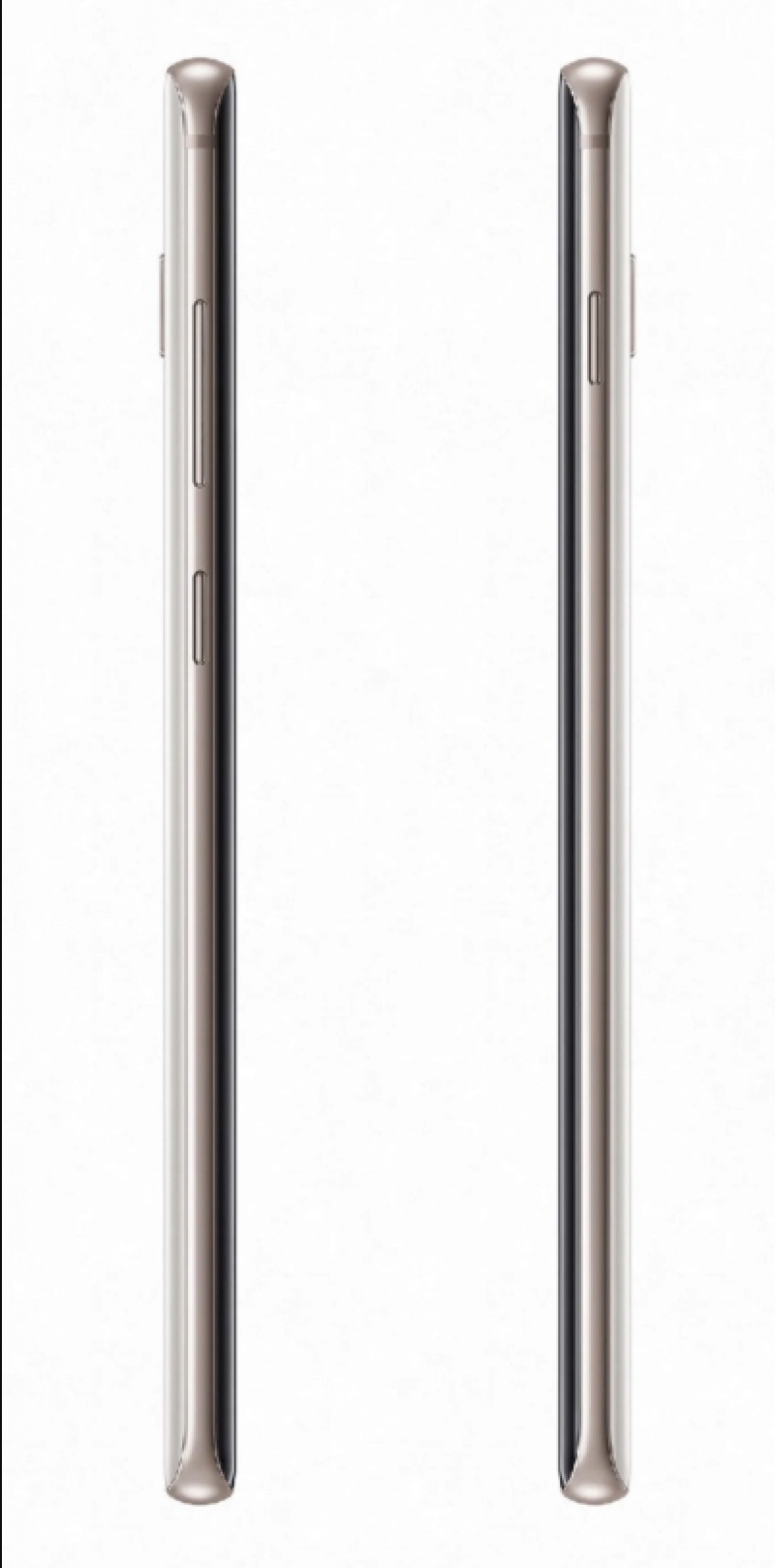 外媒爆料稱「Galaxy S10+ 限定版」將提供高於業界的頂規等級配置，包括：內建記憶體高達12GB、儲存容量高達1TB；此外，機身背蓋採用高質感的陶瓷材質，並採用專屬打造的白色。（圖／翻攝 Mysmartprice）