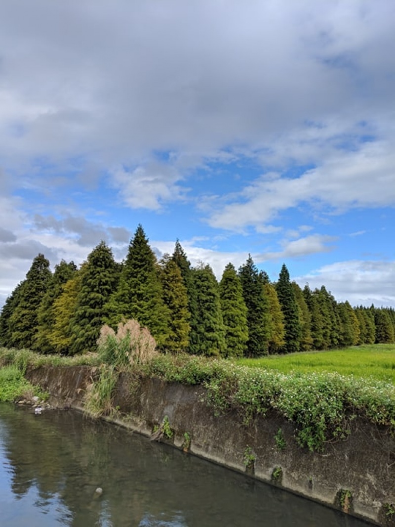 使用HDR+高動態成像範圍功能拍攝。(圖／記者劉惠琴攝)