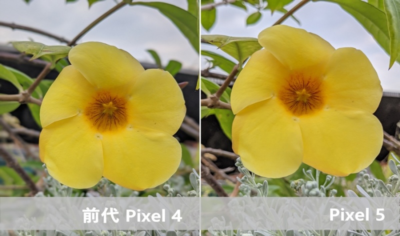 （圖／記者劉惠琴攝）