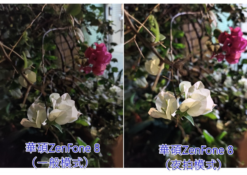 ZenFone 8實拍照片（圖／記者劉惠琴攝）