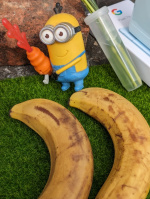 Pixel 7a 實拍照片（圖／記者劉惠琴攝）
