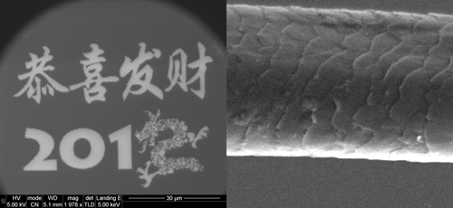 格拉斯哥大學成功製作世界最小的中式新年賀卡