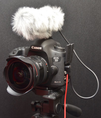 同時也是專業攝影機的 5D Mark III
