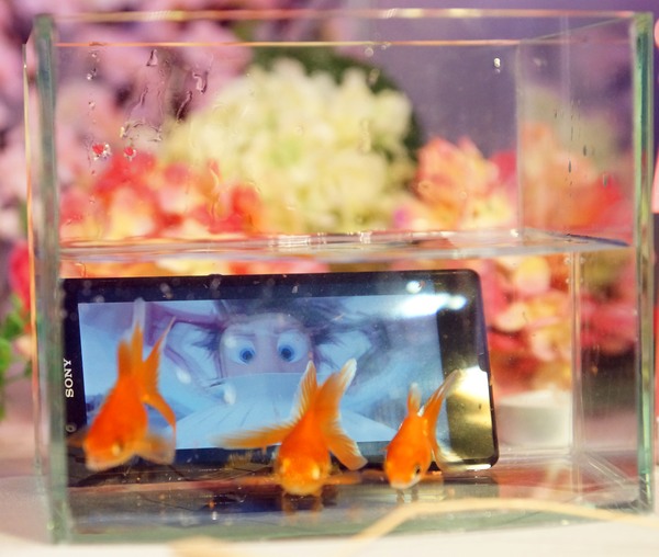 Xperia Z具備 IP55/IP57 防水防塵等級,可在水下一公尺,停留三十分鐘。