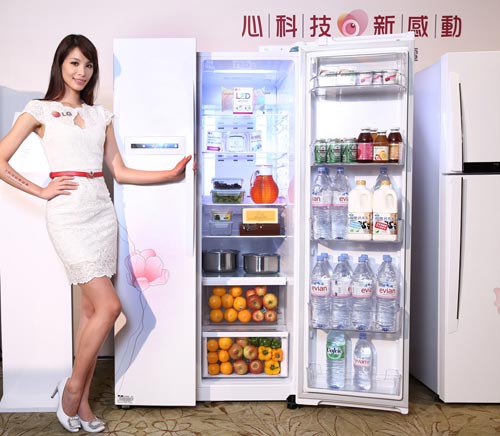 LG 花之賞直驅變頻對開冰箱系列