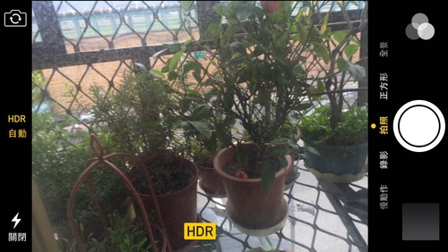 照相內定就是HDR自動,偵測到大逆光,就自己啟動HDR模式。