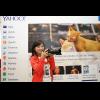 貓夫人登上Yahoo美國首頁,讓世界看見猴硐 貓夫人登上Yahoo美國首頁,讓世界看見猴硐