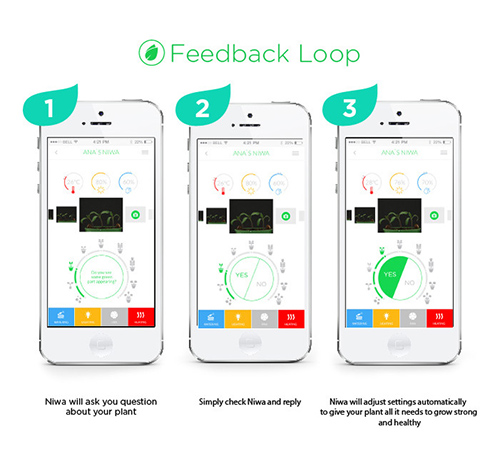 可用手機 APP 調整成長箱內的狀態,畫面擷取自 Niwa 募資網站