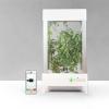 用拇指種菜!可用智慧型手機監控的迷你盆栽 用拇指種菜!可用智慧型手機監控的迷你盆栽