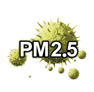 日常空氣中充滿了容易致敏的 PM2.5 微懸浮微粒