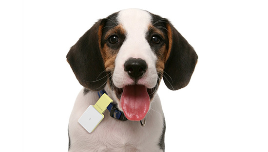 更勝蘋果 iBeacon!mBeacon 讓全世界做你的夥伴