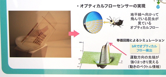 打造人造視網膜!日本推出用生物材料製感光元件
