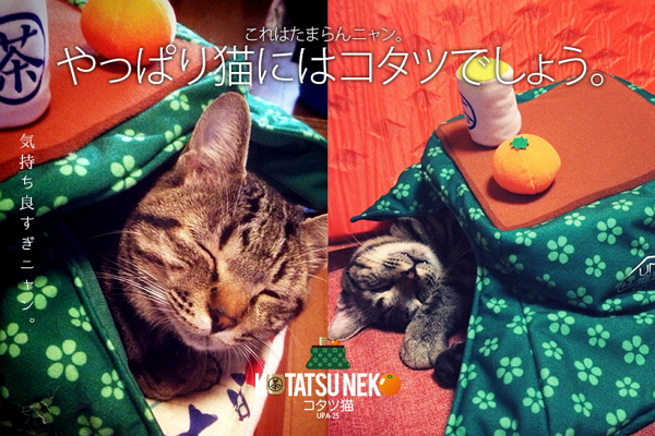 日本寵物服飾品牌UNIHABITAT推出一款激似暖爐的造型服飾,讓萌貓也能溫暖過冬天。(圖片來源/UNIHABITAT)