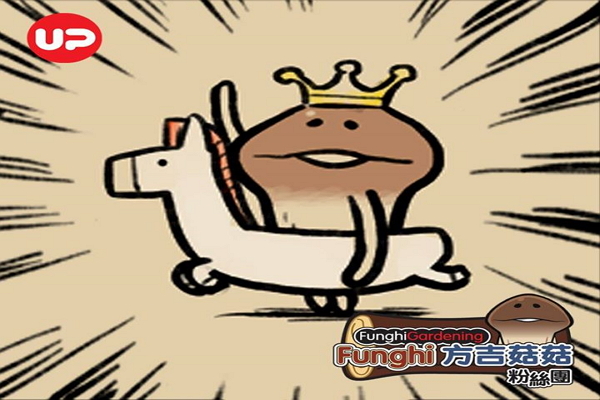 ﹝圖片來源/Facebook Funghi 方吉菇菇粉絲團﹞