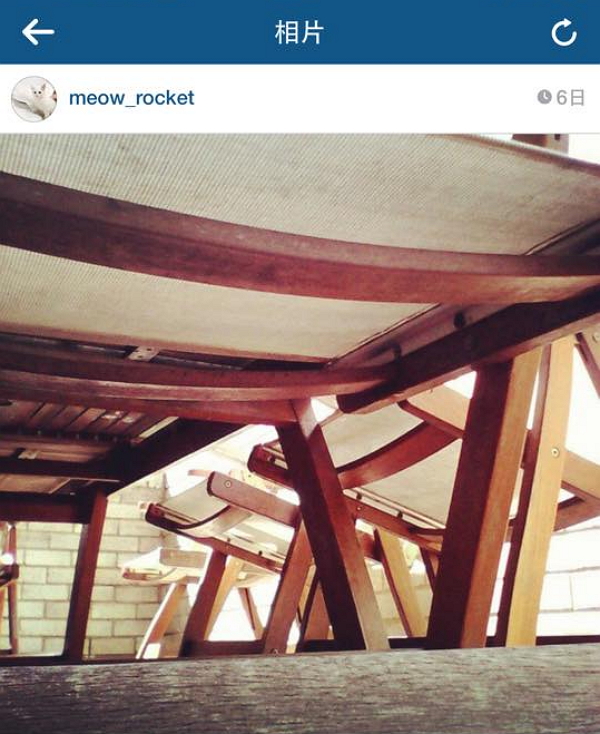 貓咪Charlie帶你一覽椅下風光!(圖片來源/meow_rocket Instagram)