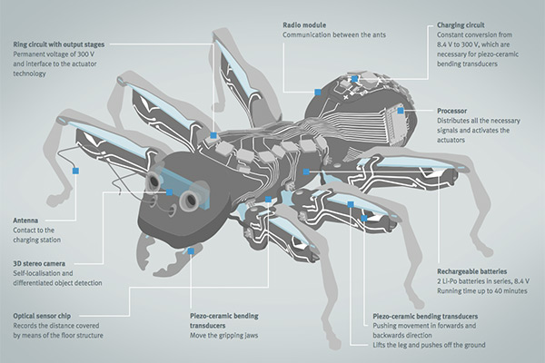 BionicANTs 機器人的各部功能解析,畫面擷取自 Festo 官方文件
