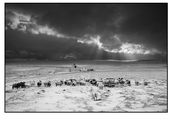 攝影師 Ragnar Axelsson 用 M MONOCHROM(Typ 246)所拍攝的作品