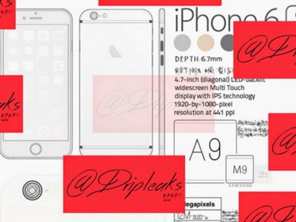 報料網友 Dripleaks 3 將iPhone 6S 幾個升級重點提出。(圖片來源/Dripleaks 3)