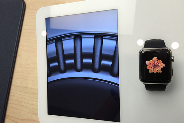 一邊擺著 Apple Watch 實機,一邊透過 iPad mini 展示,讓消費者充分了解 Apple Watch 各項功能。(記者陳炳宏攝)