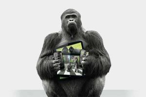 髒髒碰手機不怕?Corning 推出抗菌手機螢幕玻璃 髒髒碰手機不怕?Corning 推出抗菌手機螢幕玻璃