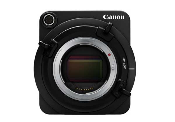 採用特殊的 35mm 全片幅 CMOS 感光元件,感光單位的面積較一般機種大了 5 倍