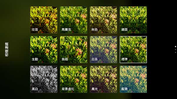 可以讓使用者依照喜好調整不同色調