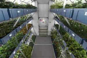 太空版「開心農場」開幕!首波可食用植物種出來啦 太空版「開心農場」開幕!首波可食用植物種出來啦