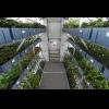 太空版「開心農場」開幕!首波可食用植物種出來啦 太空版「開心農場」開幕!首波可食用植物種出來啦