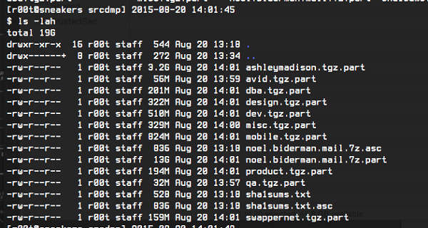 這次檔案大小接近 20GB (圖片來源/Arstechnica)