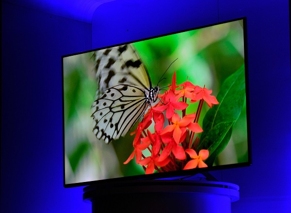 新款 Panasonic TV 或將登場(圖片來源/法新社)