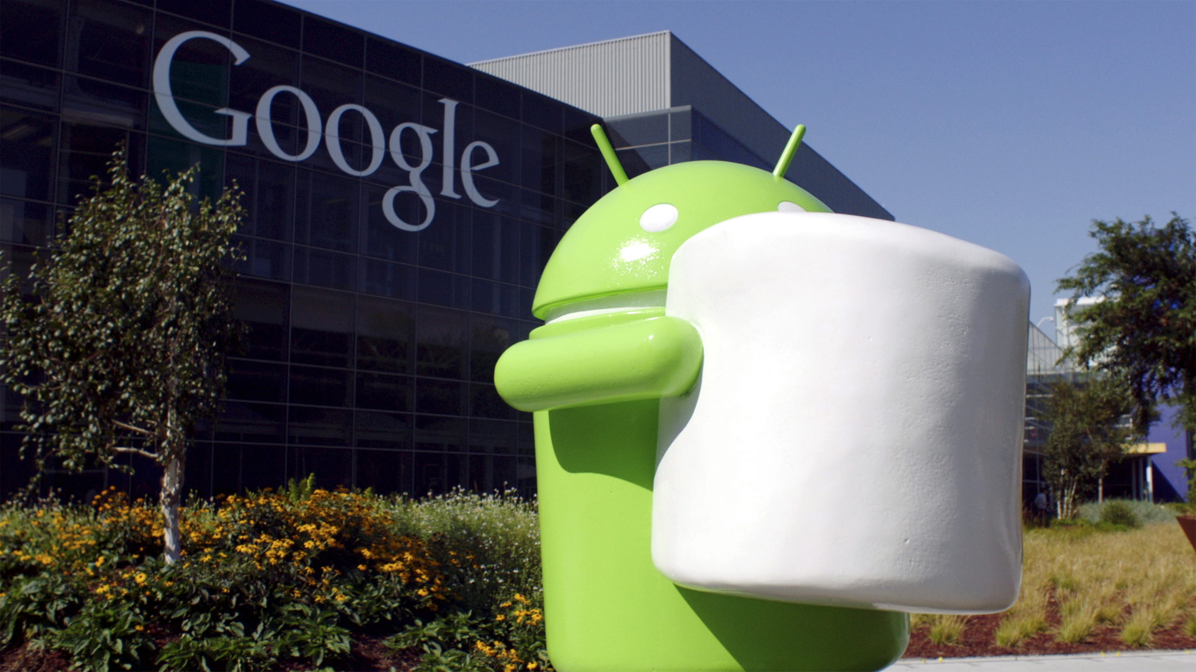 只有系統為 Android 6.0「Marshmallow」或以上的版本才能下載。
(圖片來源/歐新社)