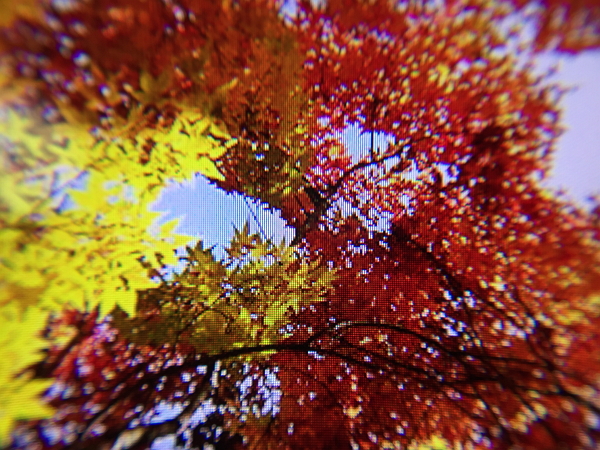 5.2吋的Xperia Z5螢幕解析度1920x1080,放大十倍觀看時,螢幕晶格清晰可辨,具顆粒感。(記者陳炳宏攝)