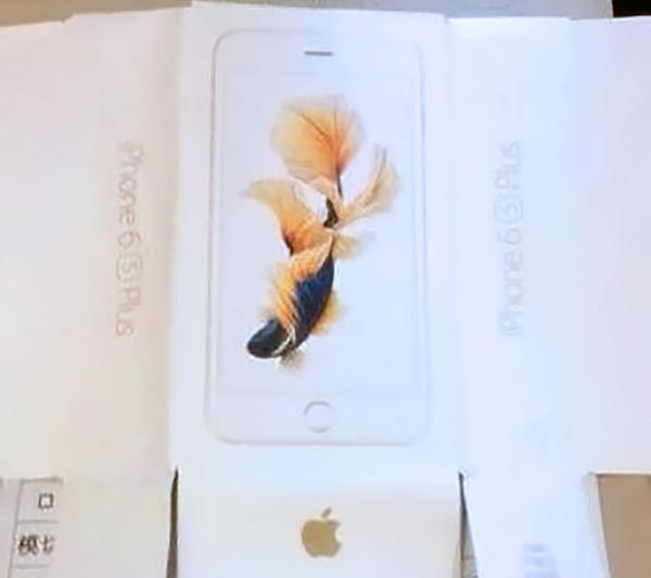 先前所流出的 iPhone 6S 外包裝盒設計,可見動態待機畫面之一的黃金錦鯉(圖片來源/擷取自 9to5Mac 網站)
