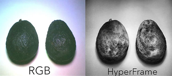 HyperCam 相機利用多光譜技術,發出不同波長的光線(圖片翻攝自TechTimes)