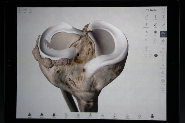 高度的顯示效能讓 iPad Pro 可以處理類似 3D 精細模型這樣的複雜運算