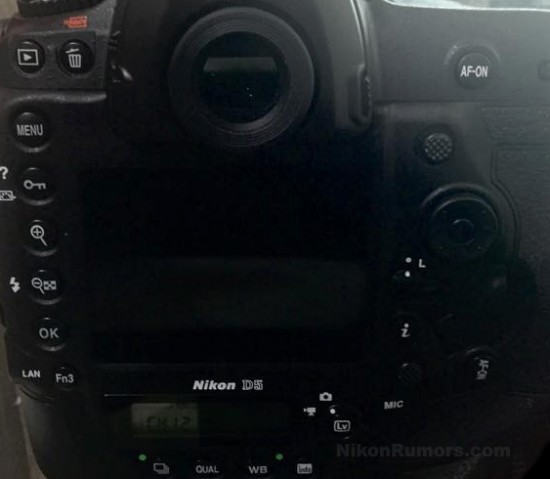 Nikon D5 的背面照(圖/nikonrumors)