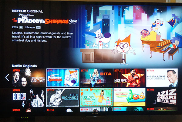 Netflix  上面也有適合兒童的節目內容。