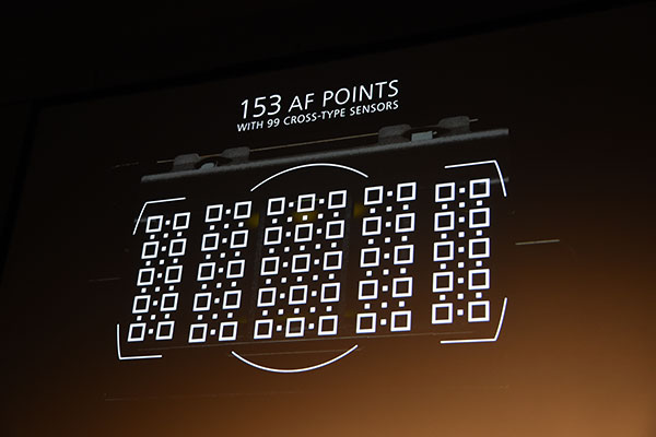 D5 在對焦系統部分採用全新 153 點對焦設計，其中有 99 點是高精度的十字對焦點