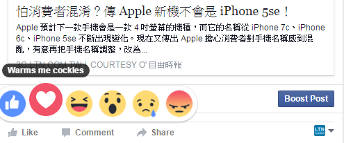 warm their cockles 溫暖我吧海扇殼?