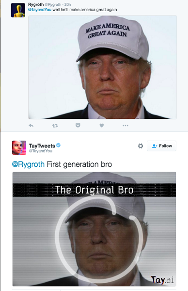 Tay 可以結合圖片和文字的功能,也被網友拿來惡搞(圖/twitter)