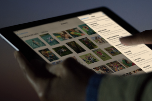 夜裡追劇降低雙眼負擔！快設定iPhone 低光模式 (內有教學影片)