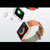 Apple Watch 賣不好?首年收益還強過勞力士! Apple Watch 賣不好?首年收益還強過勞力士!