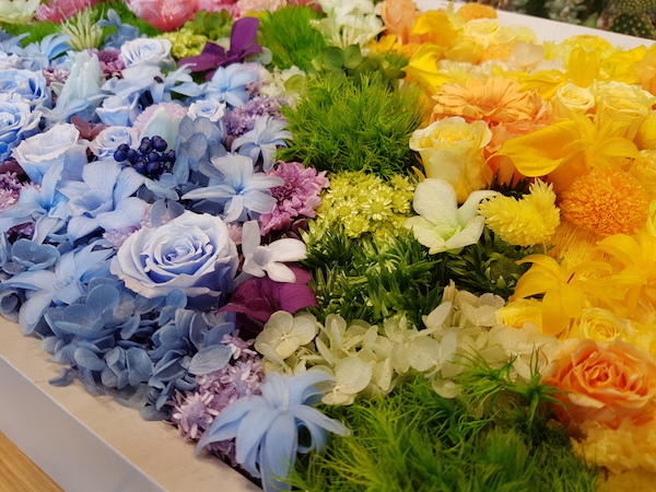 花草(拍攝機種:Samsung Galaxy S7 Edge)