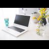 Apple 被打敗了?分析師:Chromebook 銷量超越 Mac! Apple 被打敗了?分析師:Chromebook 銷量超越 Mac!