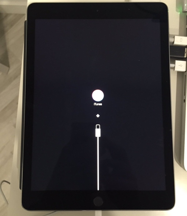 今年 3 月才推出的 9.7 吋 iPad Pro 在升級 iOS 9.3.2 之後,竟然直接「變磚」死當(圖/翻攝自TWITTER)