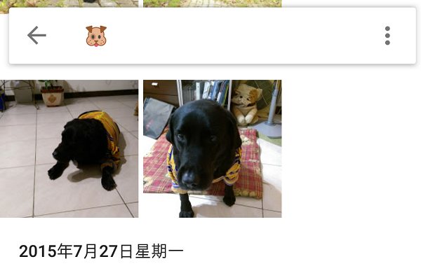 Emoji 符號也可以用來搜尋(圖/記者譚偉晟拍攝)